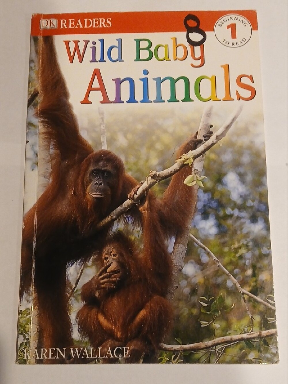 Assorted Children's Picture Books - Multi-Color Collection - Picture 13 of 14